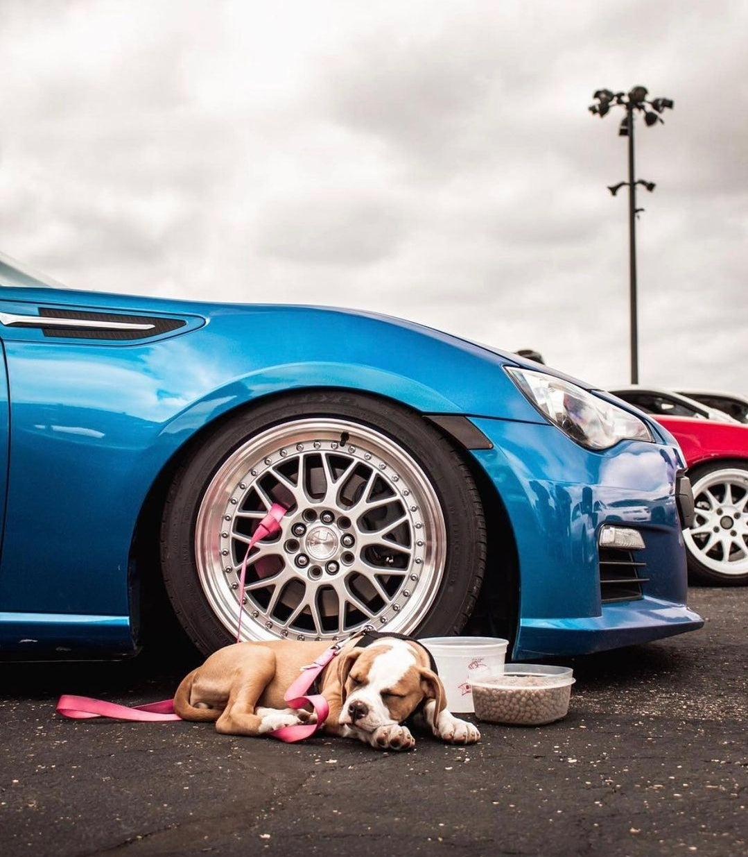 17" Aodhan AH02 Hyper Black w/ Machined Lip 5x100 / 5x114.3 Dual Pattern ( Square Setup ) ( Set of 4 )