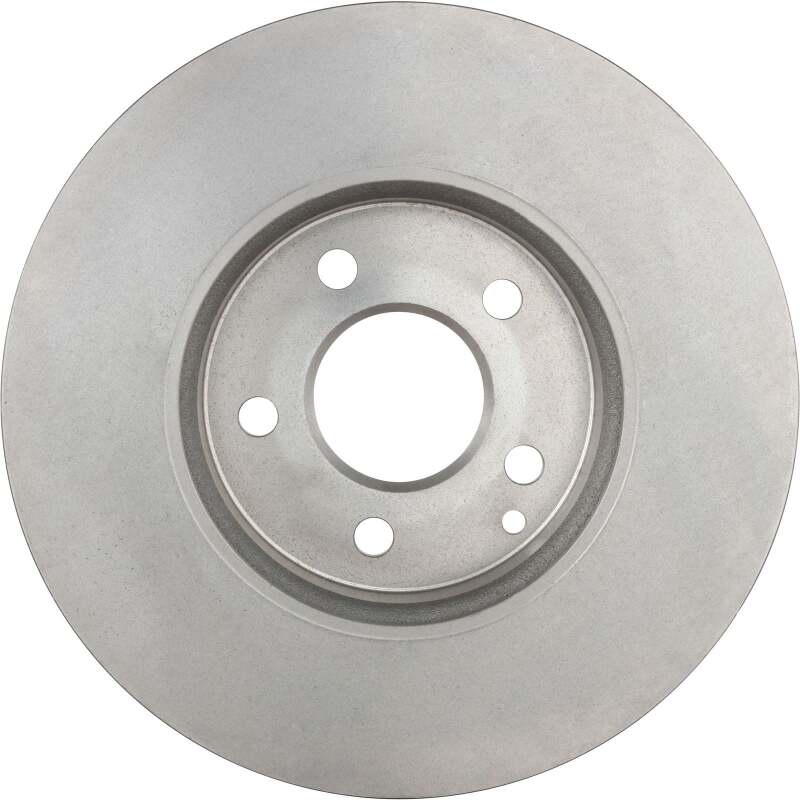 Photo - Close Up
