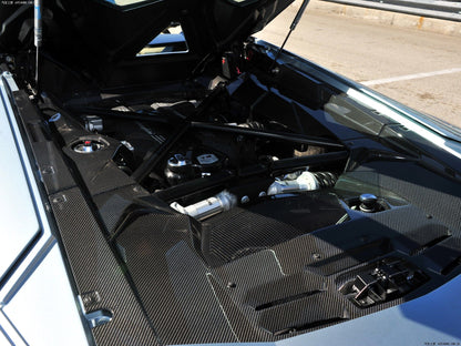 2011-2016 Lamborghini Aventador LP700 Coupe Carbon Fiber Engine Bay side Panels Land R Covers Repalcement