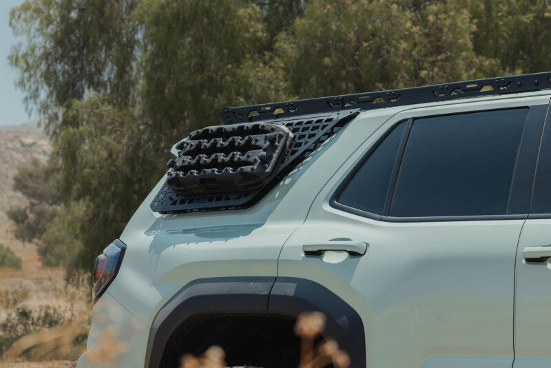 Photo - Close Up