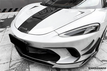 2019-2024 McLaren GT WP Style Dry Carbon Fiber Hood
