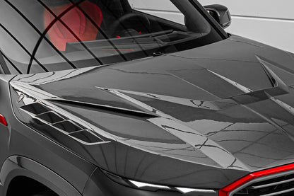 2023-2026 BMW XM G09 LD Style Dry Carbon  Fiber Hood