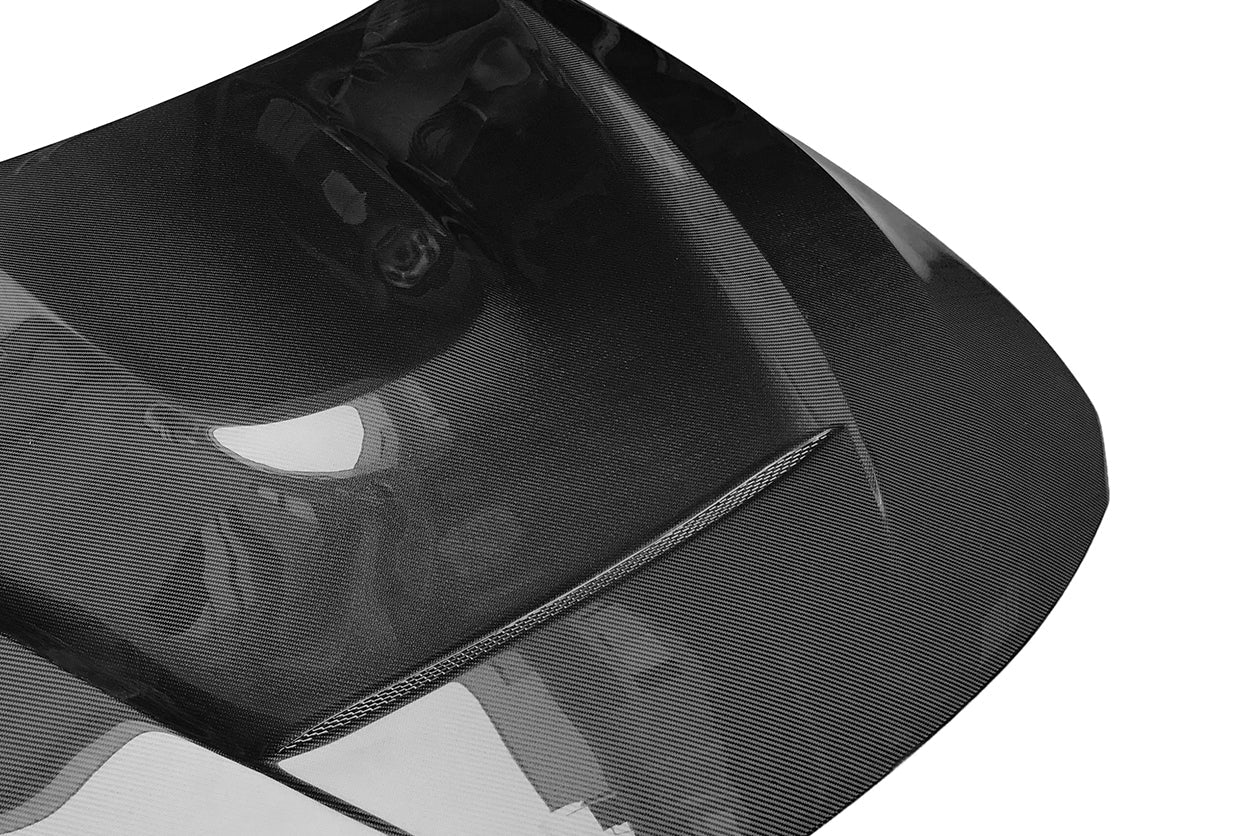 2014-2020 BMW M3 M4 GTS Style Hood