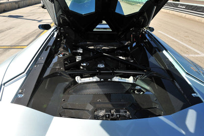 2013-2016 Lamborghini Aventador LP700 Roadster Carbon Fiber Engine Bay Panels Repalcement