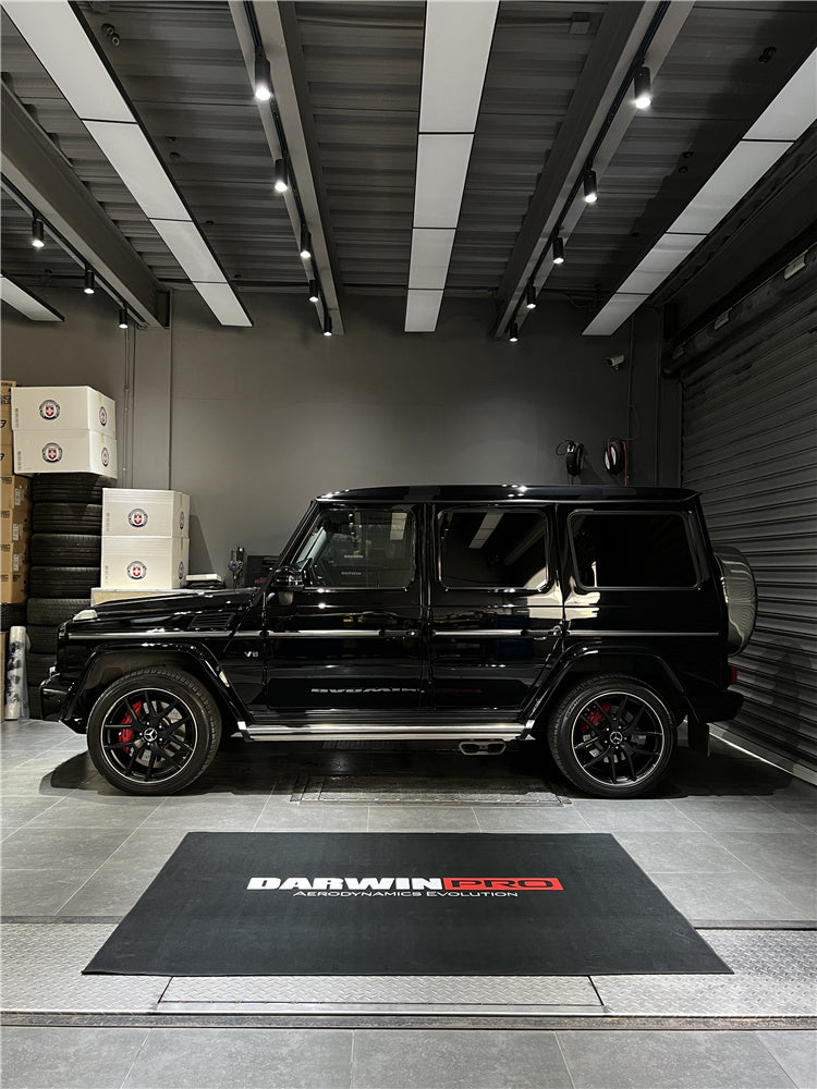 Darwinpro Indoor Decoration Carpet - DarwinPRO Aerodynamics