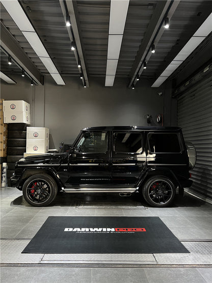 Darwinpro Indoor Decoration Carpet - DarwinPRO Aerodynamics