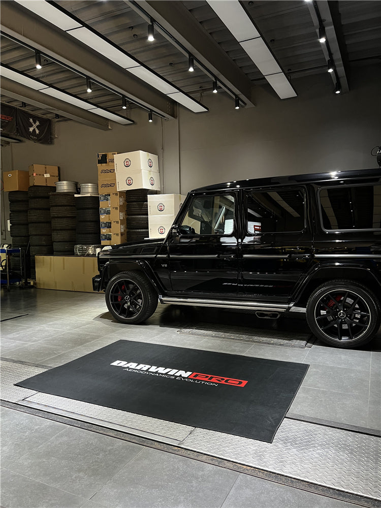 Darwinpro Indoor Decoration Carpet - DarwinPRO Aerodynamics