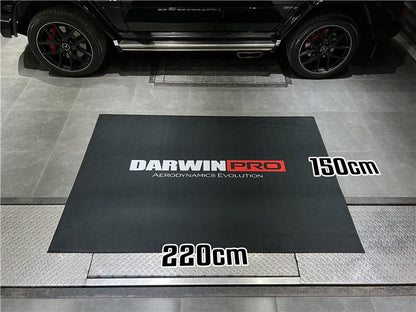 Darwinpro Indoor Decoration Carpet - DarwinPRO Aerodynamics