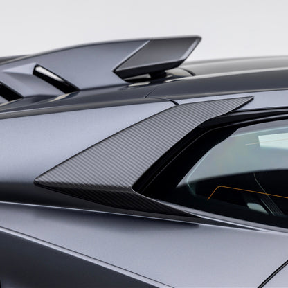Huracan STO Side Intakes Carbon Fiber