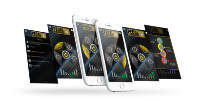 Pedal Commander Audi/Lamborghini/Porsche/Skoda/Volkswagen Throttle Controller